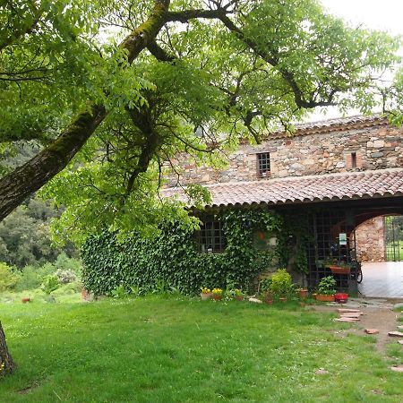 Bed And Breakfast Casanova De Sant Miquel Aiguafreda ภายนอก รูปภาพ