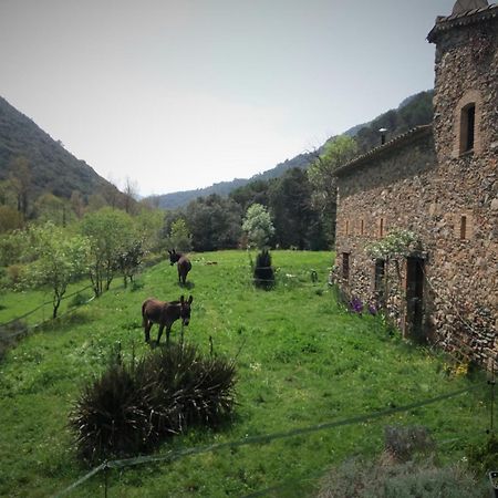 Bed And Breakfast Casanova De Sant Miquel Aiguafreda ภายนอก รูปภาพ