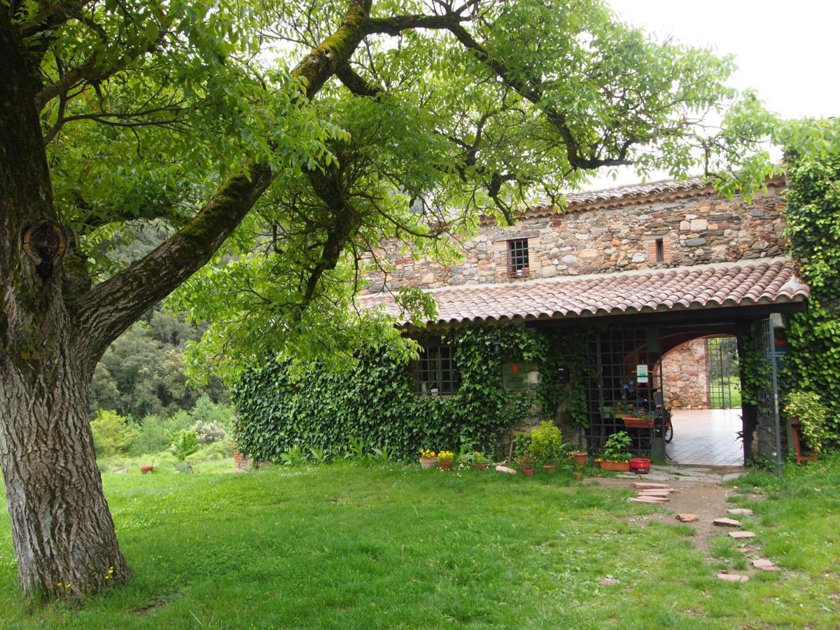 Bed And Breakfast Casanova De Sant Miquel Aiguafreda ภายนอก รูปภาพ
