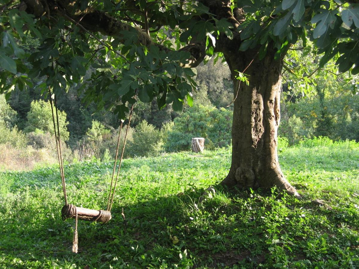 Bed And Breakfast Casanova De Sant Miquel Aiguafreda ภายนอก รูปภาพ