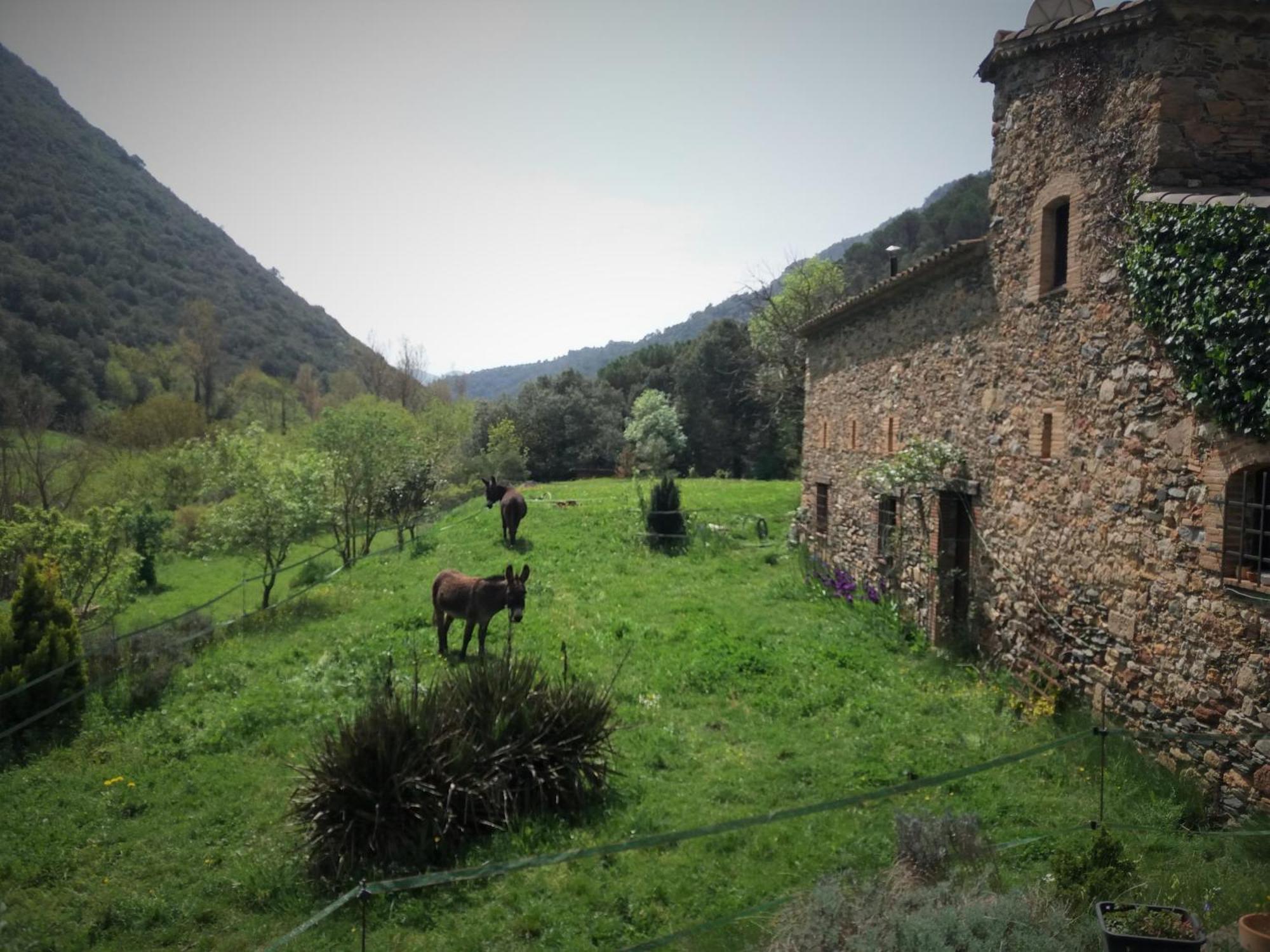 Bed And Breakfast Casanova De Sant Miquel Aiguafreda ภายนอก รูปภาพ